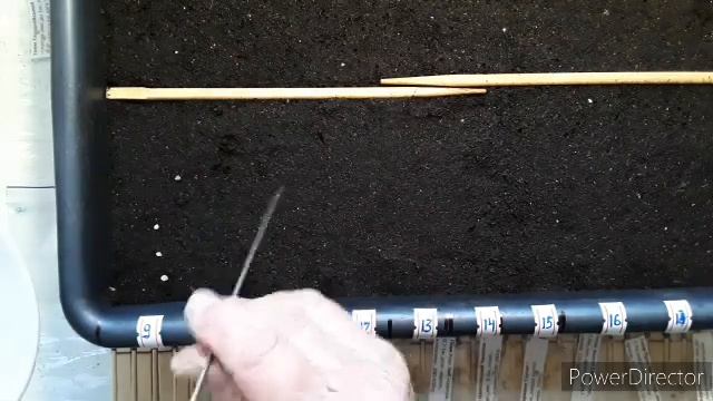 Томаты-2025. Посев семян томатов на рассаду. смотреть онлайн