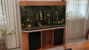 Аквариум 600 литров под ключ