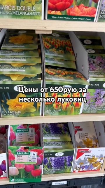 #обзорцен #шоппинг #семенацветов #огород #тюльпаны #пос смотреть онлайн
