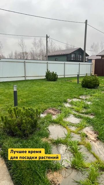 Лучшее время для посадки растений #посадка #посадкара? смотреть онлайн