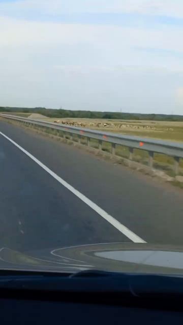 #дача #жизньзагородом #огород #лето Самара-Орск #Зона з? смотреть онлайн