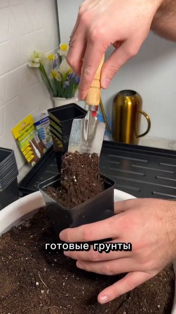 Это самое важное при выращивании рассады #лайфхак #сад смотреть онлайн