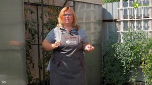 33 Богатыря прошел проверку.  Все в восторге!