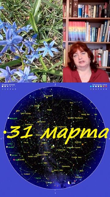 Астроинформация 31 марта. #астропрогноз #гороскоп #карт смотреть онлайн