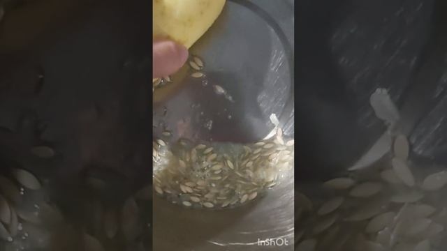 Разгибридизация огурца Адам F1 Bejo