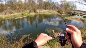 Рыбалка в затопленном лесу на малой реке. Разная рыба каждый заброс - Мормышинг. Рыбалка весной