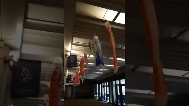 #Tokyoskytree Карпы у телебашни.Май, 2023.