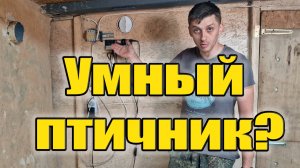 🔥 УПРАВЛЕНИЕ КЛИМАТОМ В ПТИЧНИКЕ! Теперь птица растёт эффективнее! 🐔💨