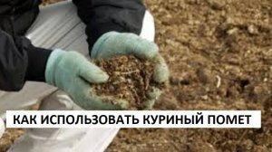 НЕТ ЦЕННЕЕ УДОБРЕНИЯ ДЛЯ ОГОРОДА, ЧЕМ КУРИНЫЙ ПОМЁТ. Как правильно использовать куриный помёт.