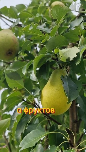 Это шаблон,хочешь понять почему вес растёт именно у те смотреть онлайн