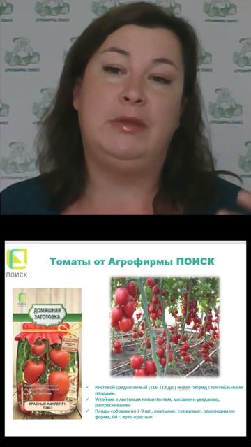 Этот томат ИДЕАЛЕН для заготовок! смотреть онлайн