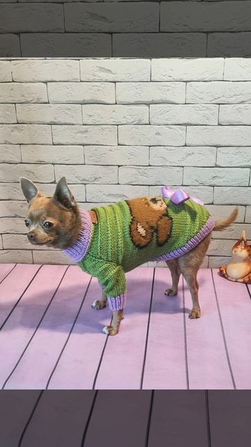 Вязаный свитерок "Мишка 🐻" для собачки 🐕 мальчика 🤎💚 смотреть онлайн