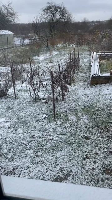 Проснулся, а за окном зима❄️