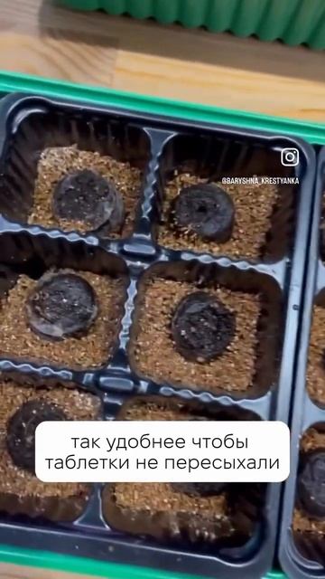 Сеем эустомы. Я выбрала Семена Алтая #деревня #садовые? смотреть онлайн