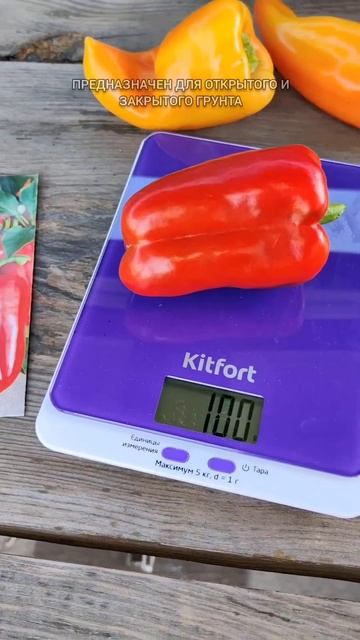 Перец Сладкий Лотта от Семена Маркет#семена #семенама? смотреть онлайн