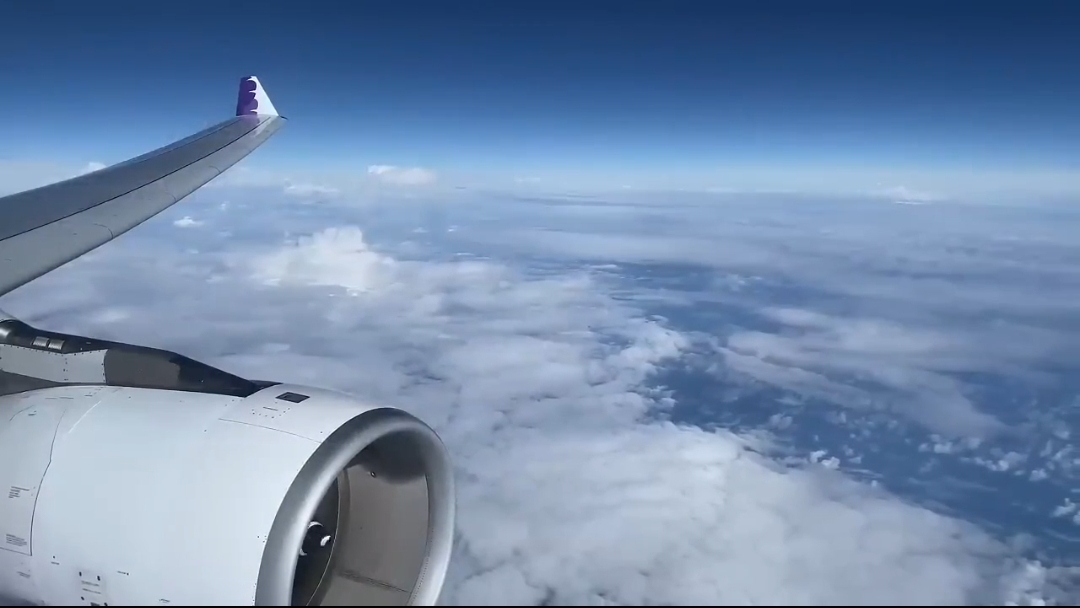 Пилоты утверждают, что летают над Плоской Землёй.😲 Принцип работы Авиагоризонта на борту самолёта🧐 смотреть онлайн