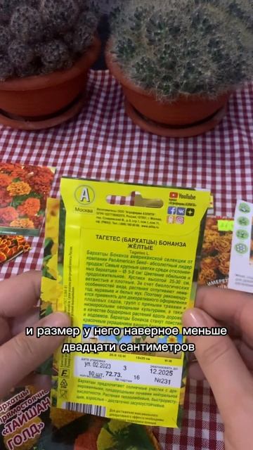 Бархатцы #цветы #бархатцы #томаты #помидоры #урожай #об? смотреть онлайн