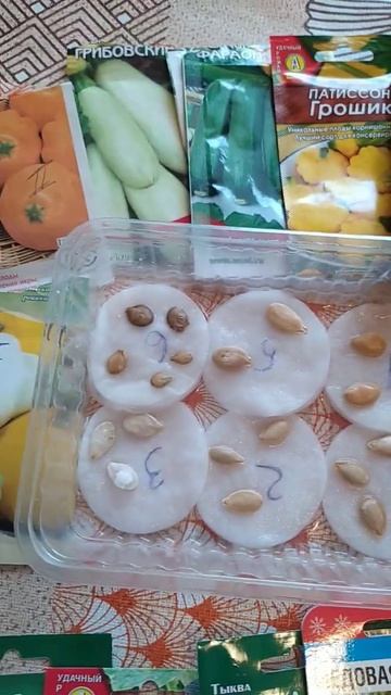 Отличного урожая 🌿🤗👍#огород#сад#грядка#дачаhttps://dzen. смотреть онлайн