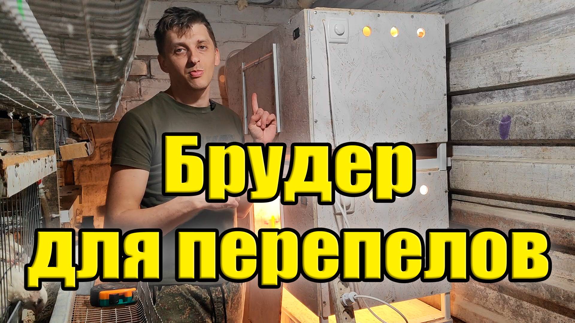 Брудер для перепелов своими руками: просто, дешево, эффективно! смотреть онлайн