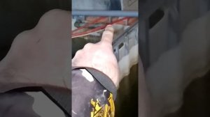 Выращивание африканских сомов. Простая система.https://t.m