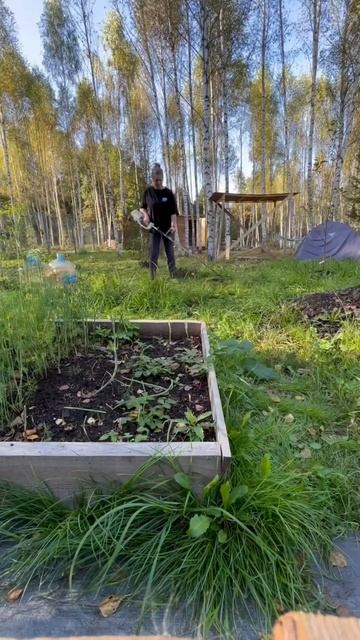 #жизньзагородом #6соток #дача #огород #движениежизнь смотреть онлайн