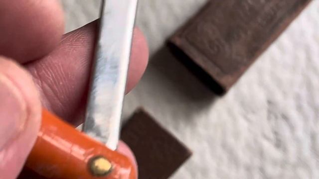 Две опасные бритвы