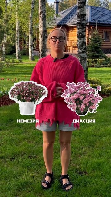 #ландшафт #дача #ландшафтнийдизайн #garden #садовник #сад смотреть онлайн