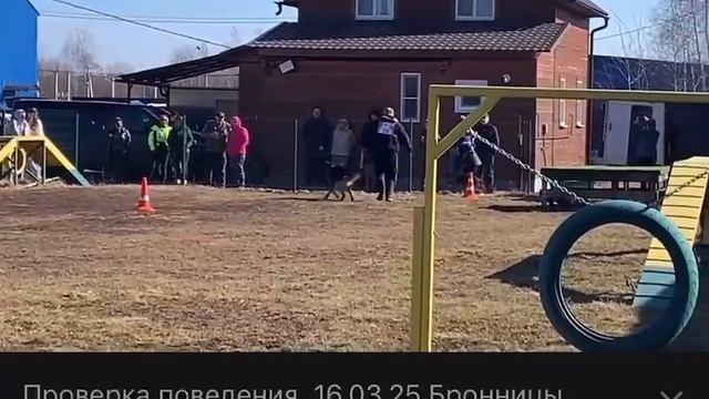 2 Отл. СС ДЖОКЕР ф. Дойчем Боден +++ №20