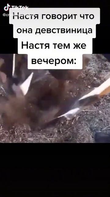 ОХ ЭТА НАСТЯ😂 #shorts #мемы #настя