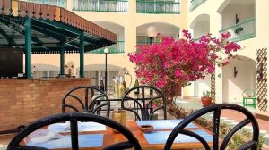 Bel Air Azur Resort Hotel  in Egypt, Hurghada. Music. Обзор отеля в Египте, Хургада. Музыка