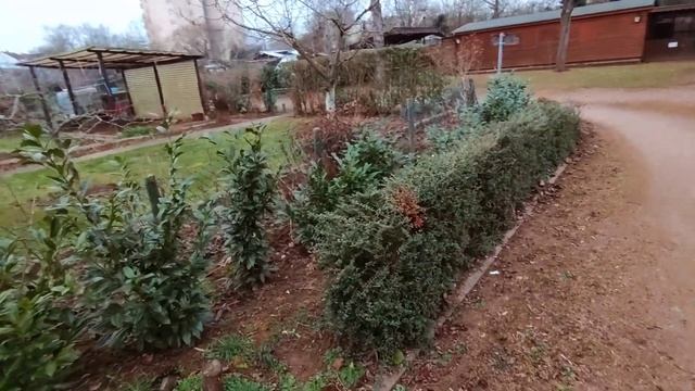 Сидераты это не удобрение! смотреть онлайн