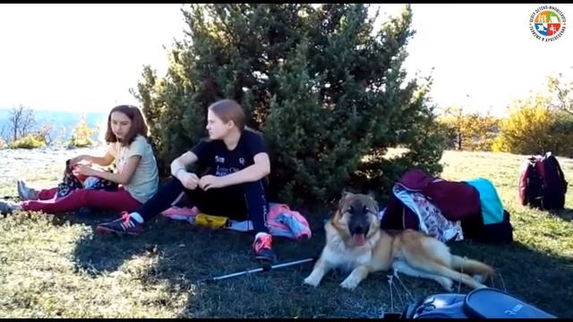 Практическое занятие ТО 