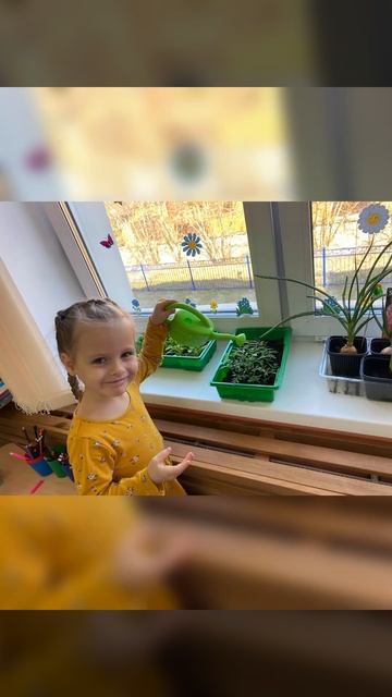 Огород без хлопот, группа Хрусталики смотреть онлайн