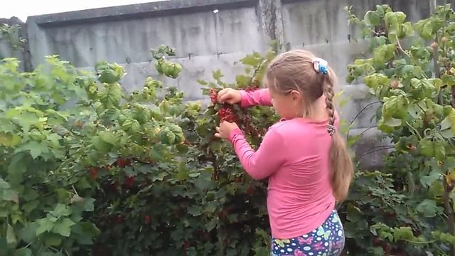 Прикол Золушка 2 смотреть онлайн