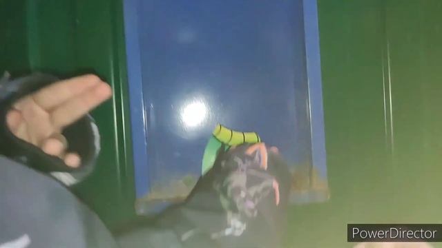 Наш предновогодний Адвент . Календарь Ожидания НОВОГО смотреть онлайн