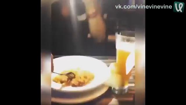 Когда кто то фоткает еду в instagram) приколы 2016 смотреть онлайн