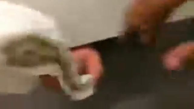Прикол над другом 😂😂😂😂😂😂😂😂😂 смотреть онлайн