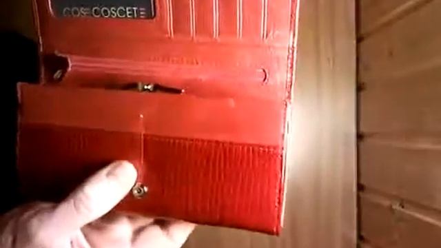 CS13 01B видеообзор женского кошелька смотреть онлайн