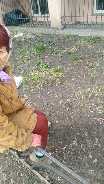 когда бабушка ищет закладку но её обламывает участковый. прикол. юмор. ржу не могу. смотреть онлайн