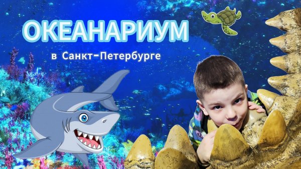 MAXMAN | Океанариум в Санкт-Петербурге
