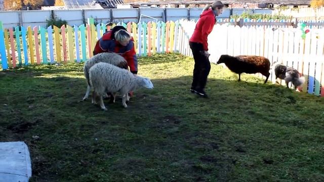 ТПИ2. берн Милана Бештау Хиллс