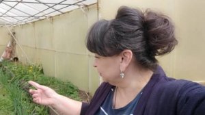 Такого никогда не было. Почему все так меняется? Подготовка теплицы к сезону. Жизнь семьи в деревне.