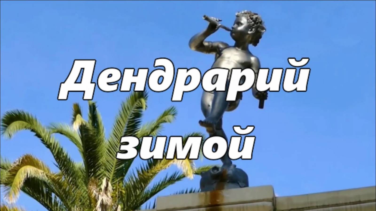 Сочинский дендрарий в феврале Пальмы и скульптуры Красивые виды смотреть онлайн