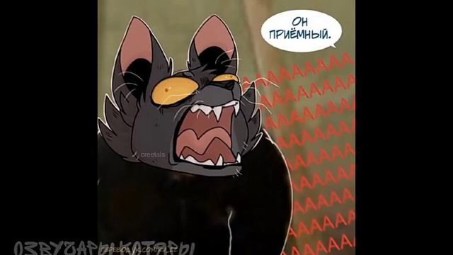 коты воители озвучка комиксов приколы (#9) смотреть онлайн