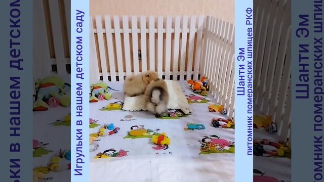 Доброе Всем утречко ☀️ смотреть онлайн