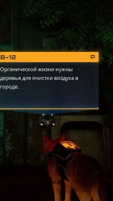 Растения растут без солнечного света #affamily #лайкподпи?