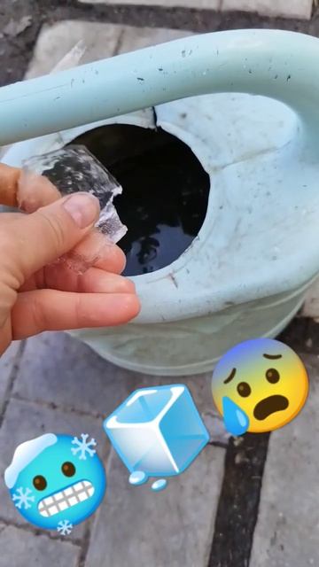 МОРОЗ🥶 МАЙ ОМСК👆СПАСАЕМ РАССАДУ🪴 смотреть онлайн