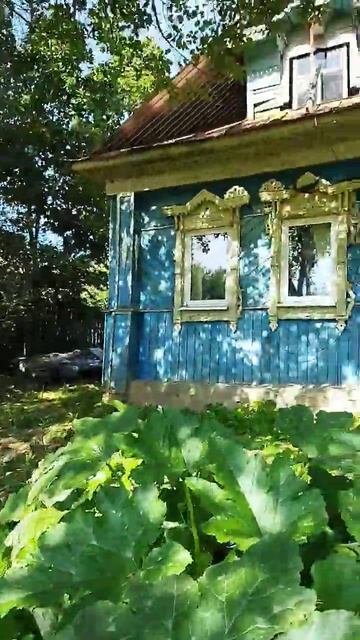 Мой огород и дом, который мы сдаем смотреть онлайн
