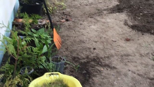 Цветник своими руками. Этапы и стоимость смотреть онлайн