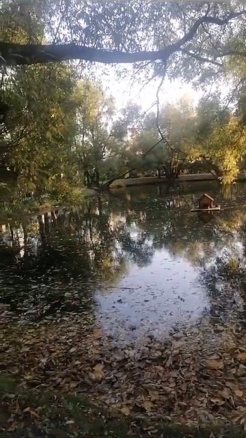 Пруды Воронцовского Парка